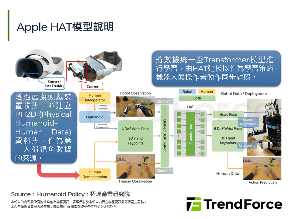 Apple HAT模型說明