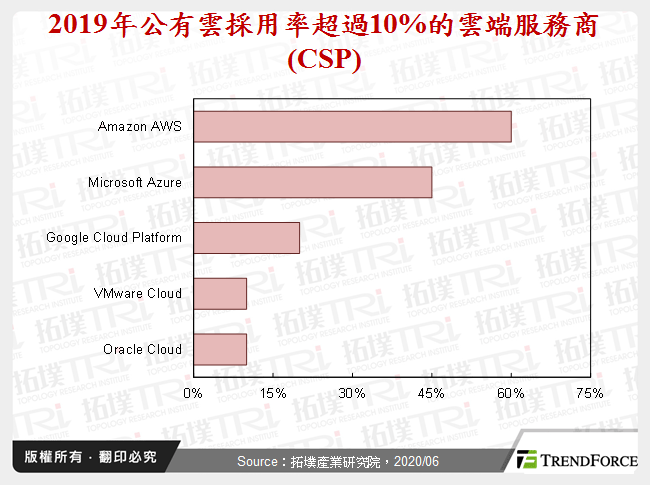 2019年公有雲採用率超過10%的雲端服務商(CSP)
